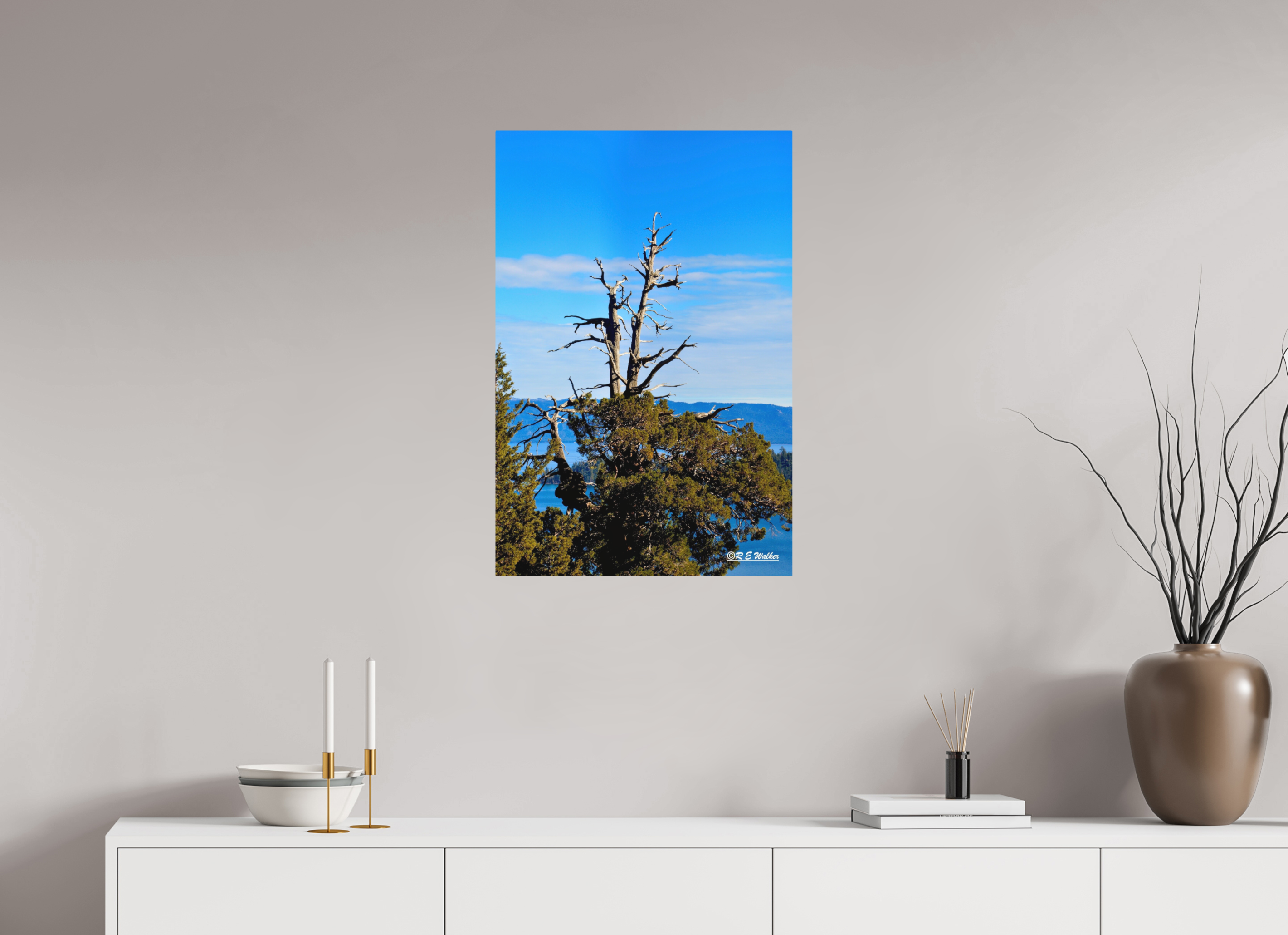 20 x 30″, Aluminum Tree at Lake Tahoe