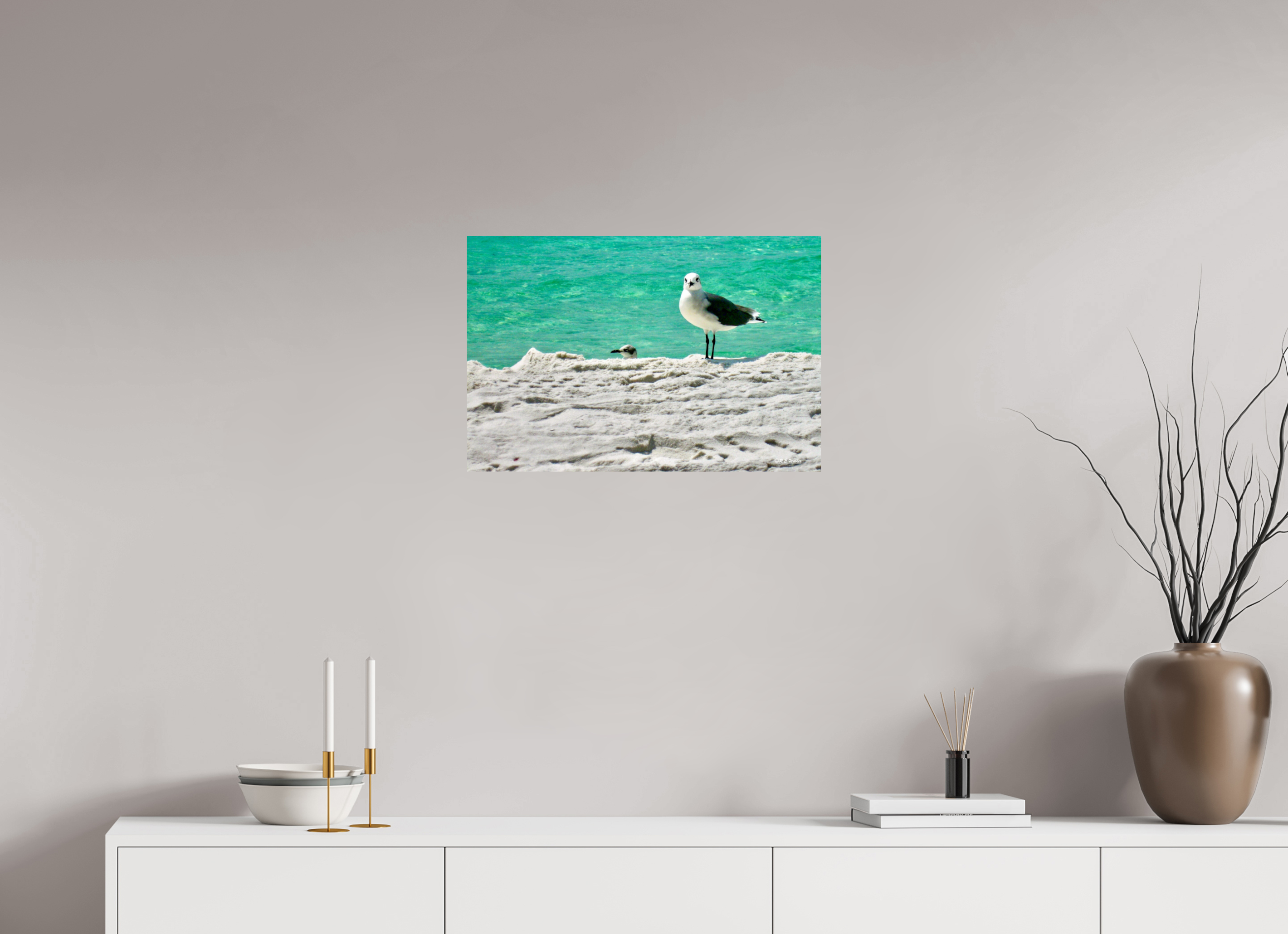 24 x 16″, Glossy Print without border Laughing Gull