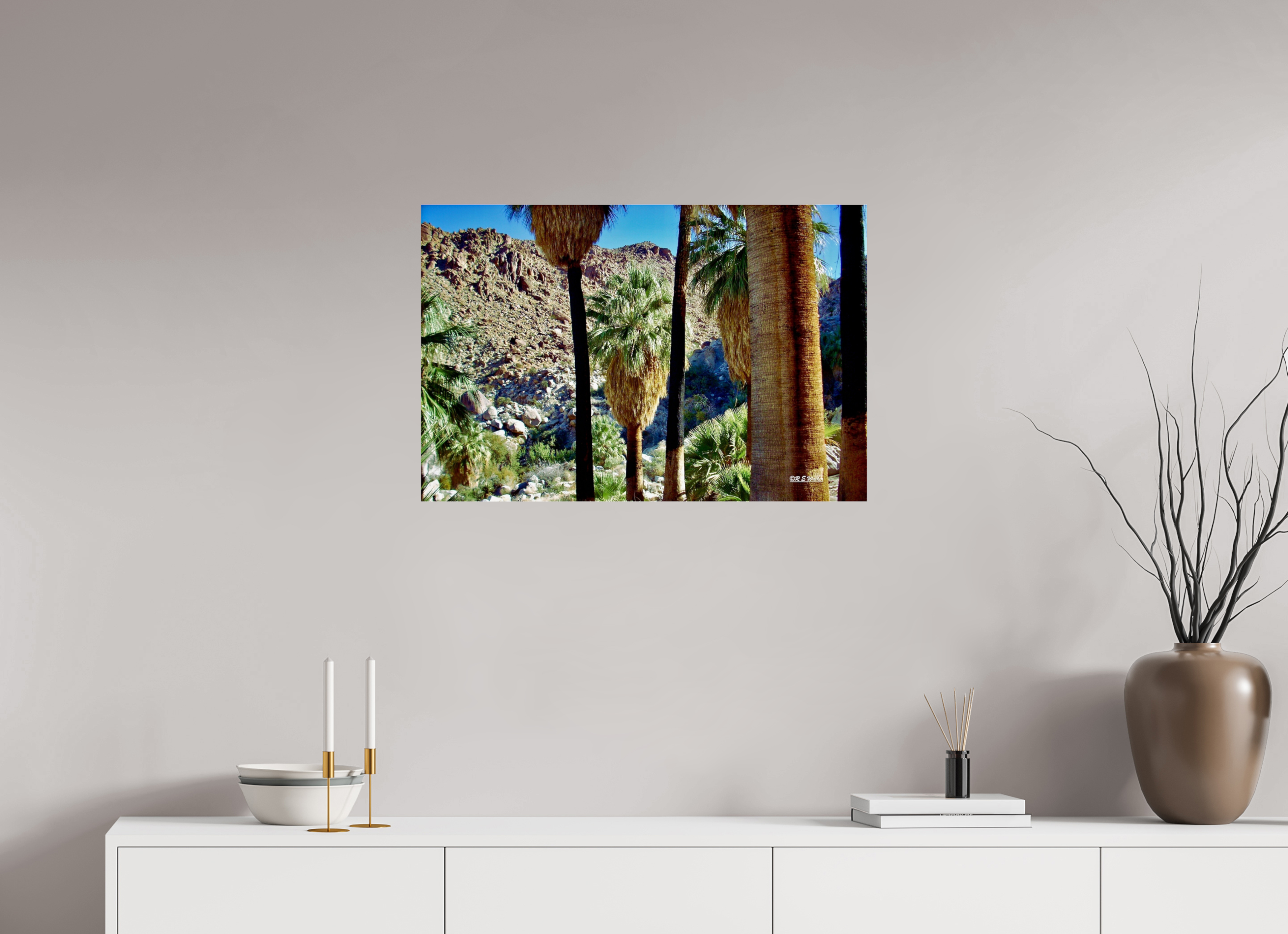 30 x 20″, acrylic-noframe-glossy Oasis in Joshua Tree National Park