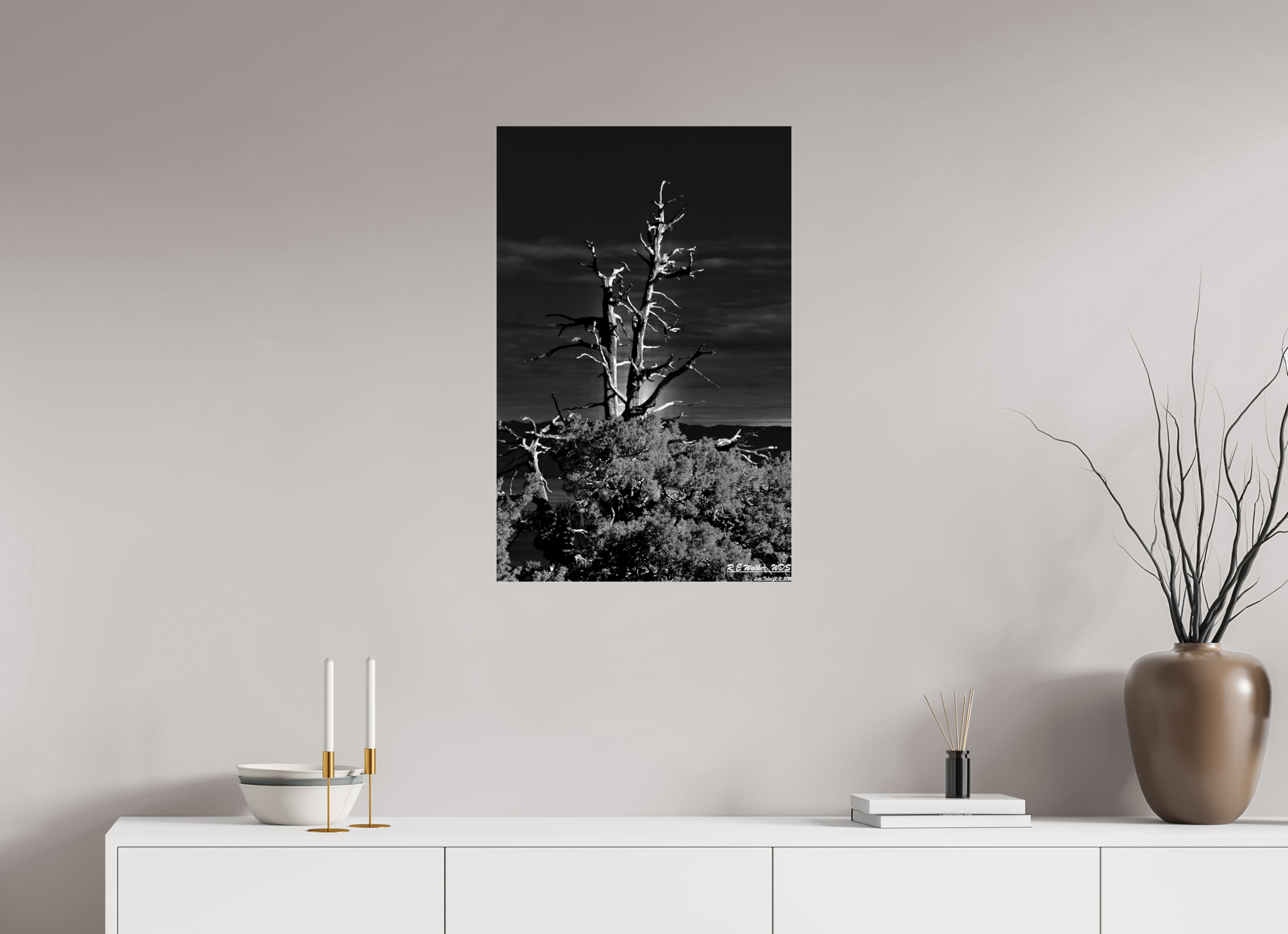 20 x 30.9″, Glossy Print without border Tahoe tree silhouette