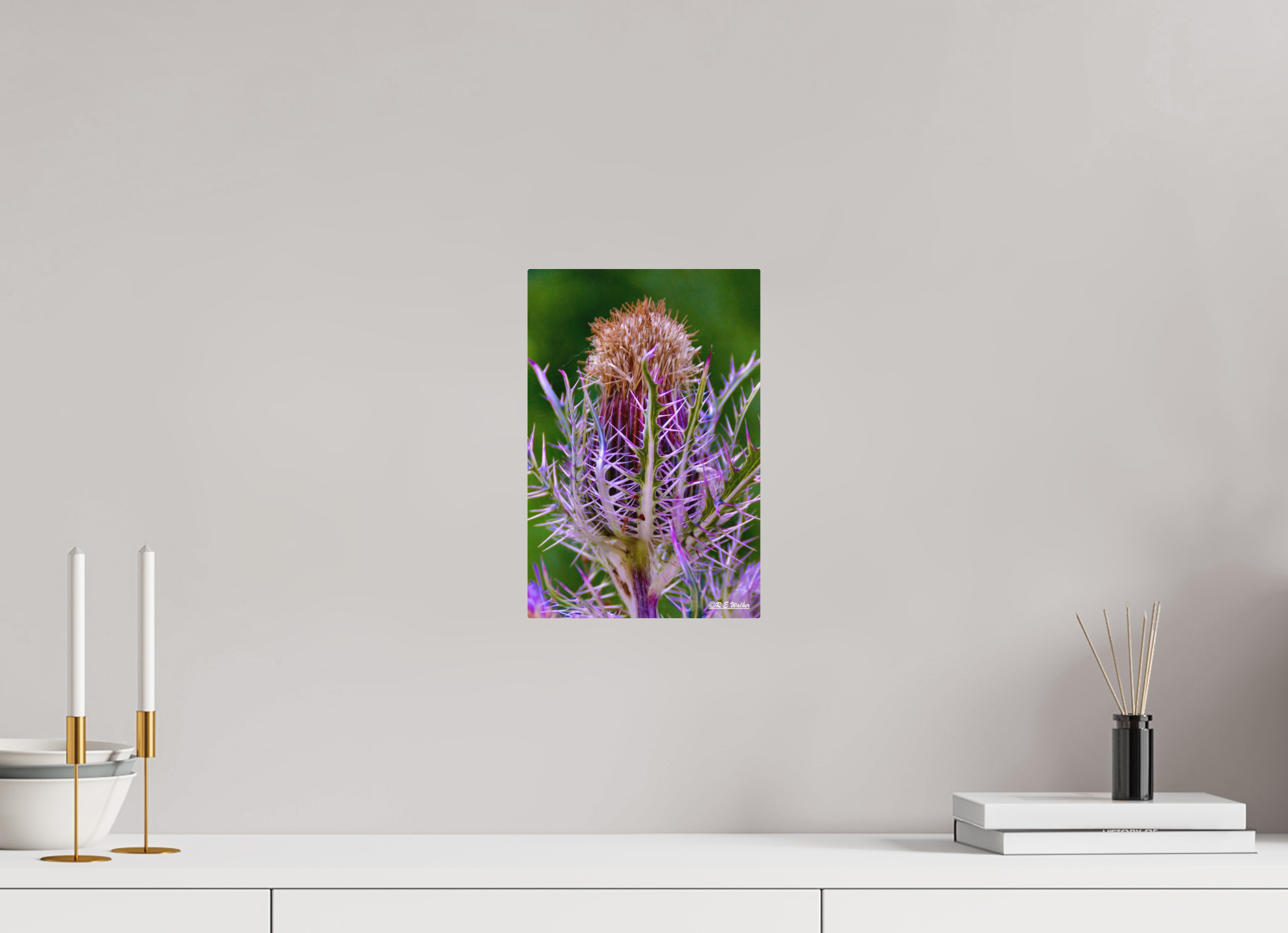 8 x 12″, Aluminum Close-up Thistle Flowerhead