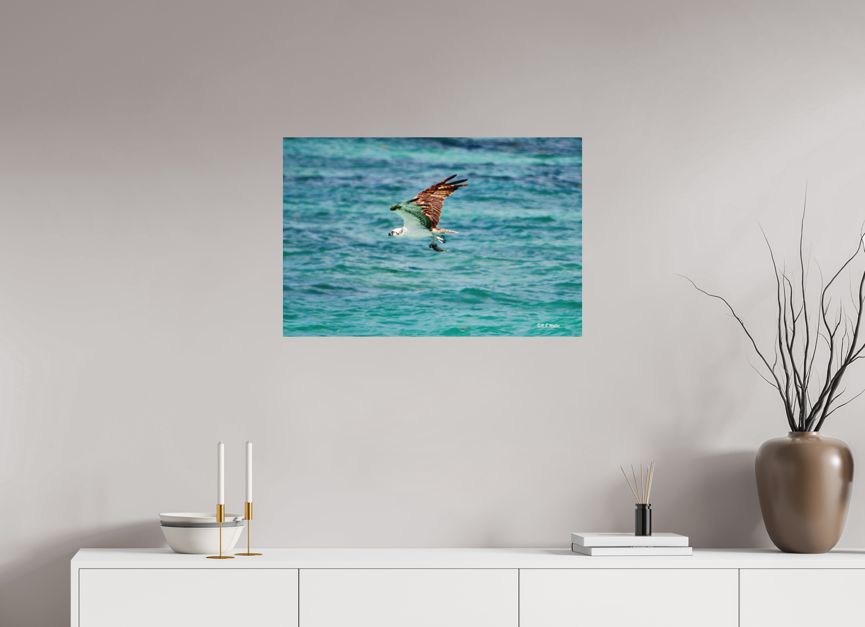 30 x 20″, Aluminum Seahawk in flight