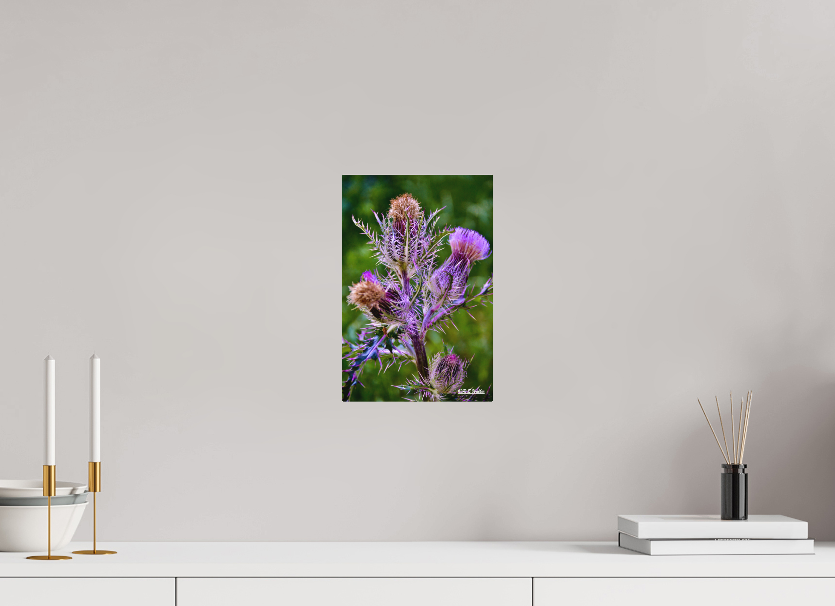 8 x 12″, Aluminum Thistle
