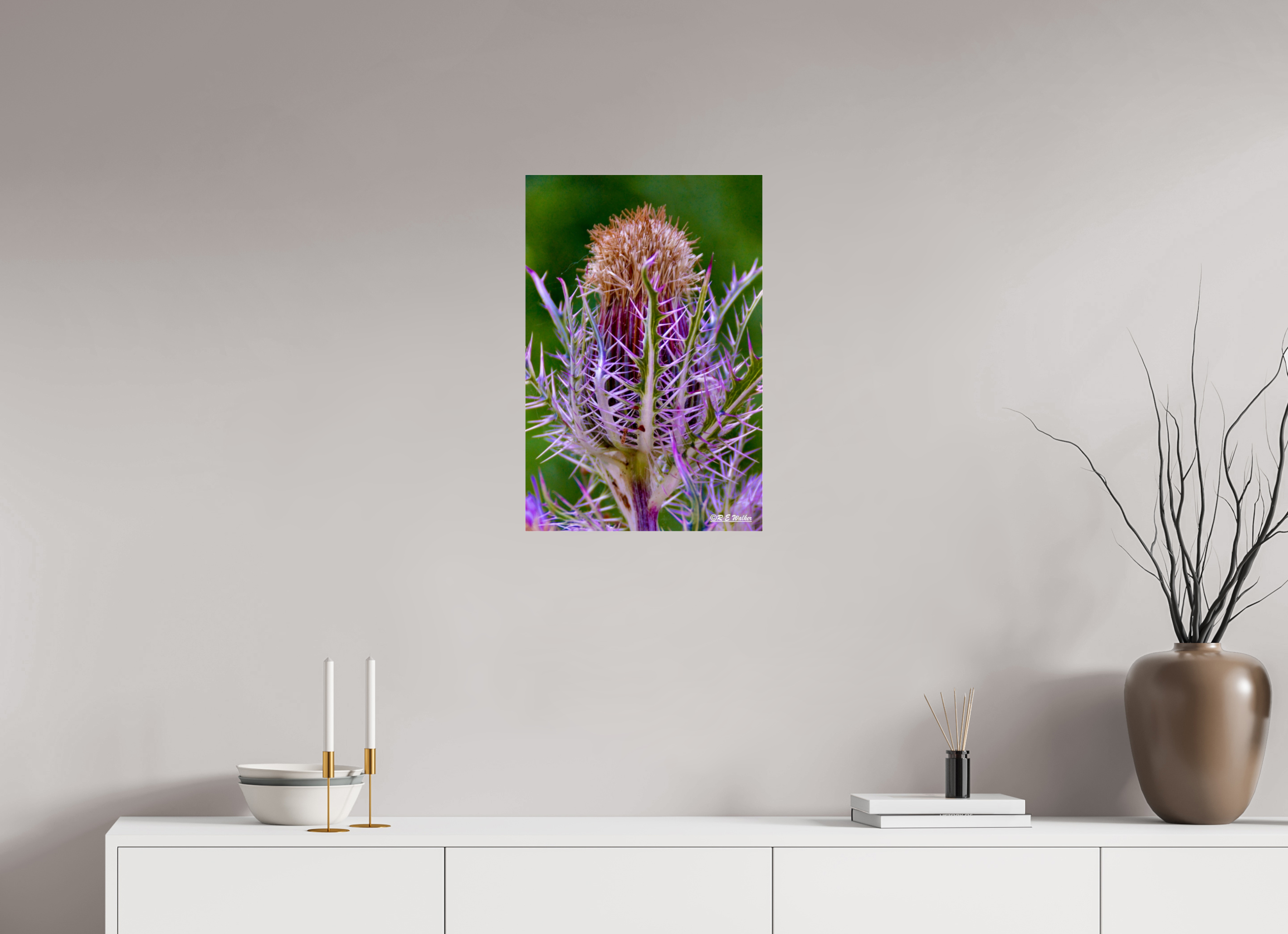 16 x 24″, acrylic-noframe-glossy Close-up Thistle Flowerhead