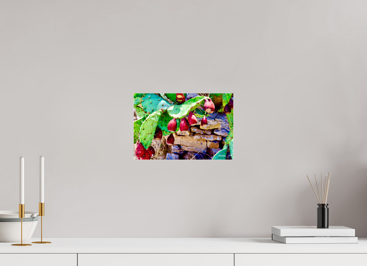 12 x 8″, Photo Print Under Acrylic Glass Prickly Pear Texas