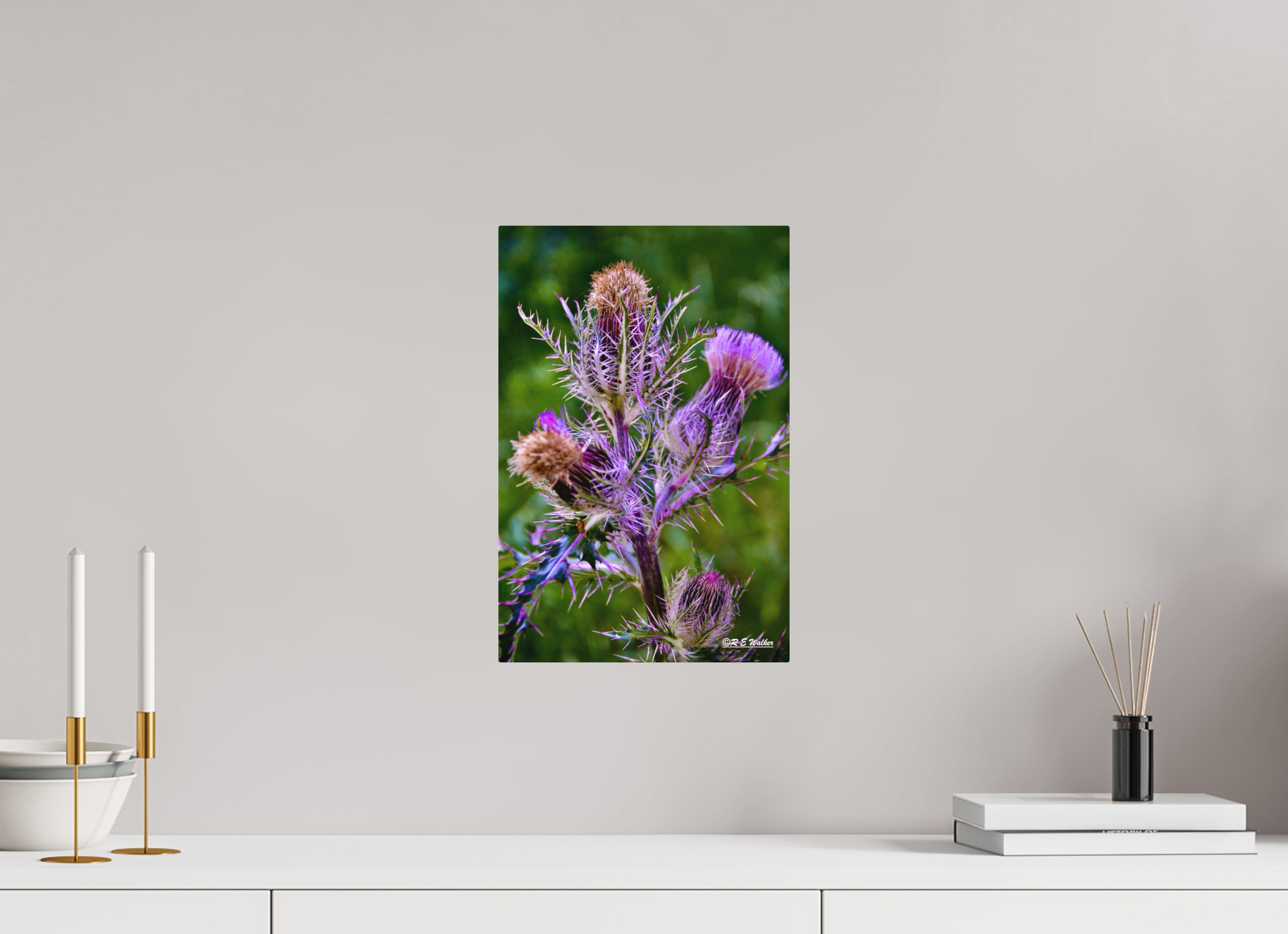 10 x 15″, Aluminum Thistle