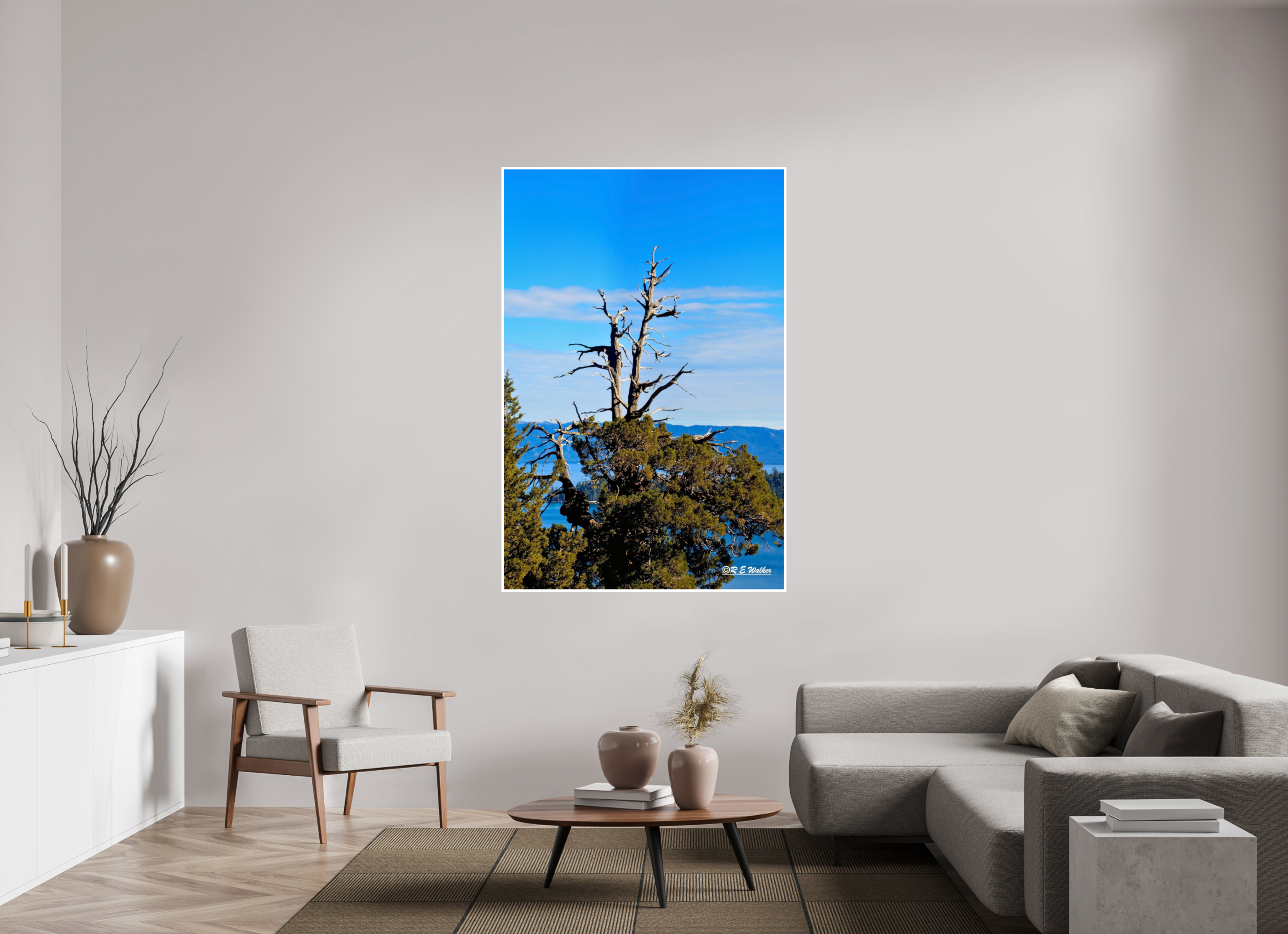 44 x 66″, Print with 0.4in white border Tree at Lake Tahoe