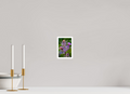 4 x 6″, Print with 0.4in white border Thistle