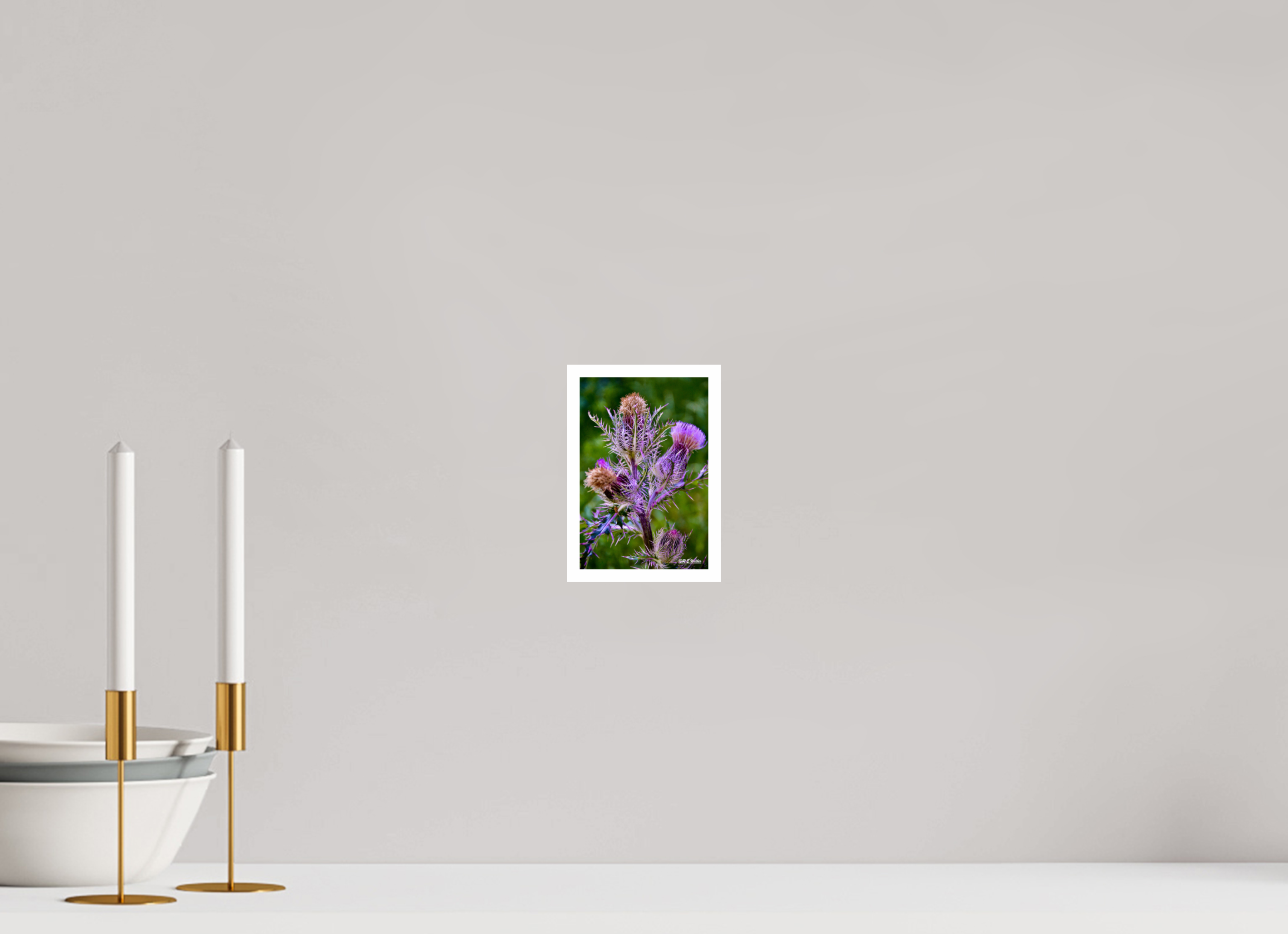 4 x 6″, Print with 0.4in white border Thistle
