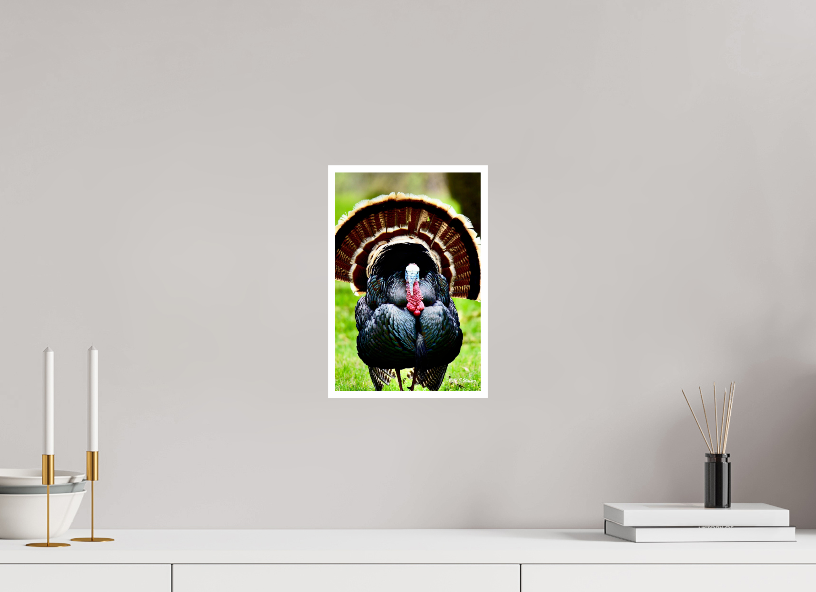 8 x 12″, Print with 0.4in white border Turkey Headon