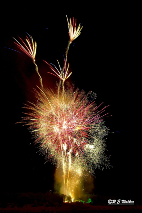 Main image Three Flower Fireworks