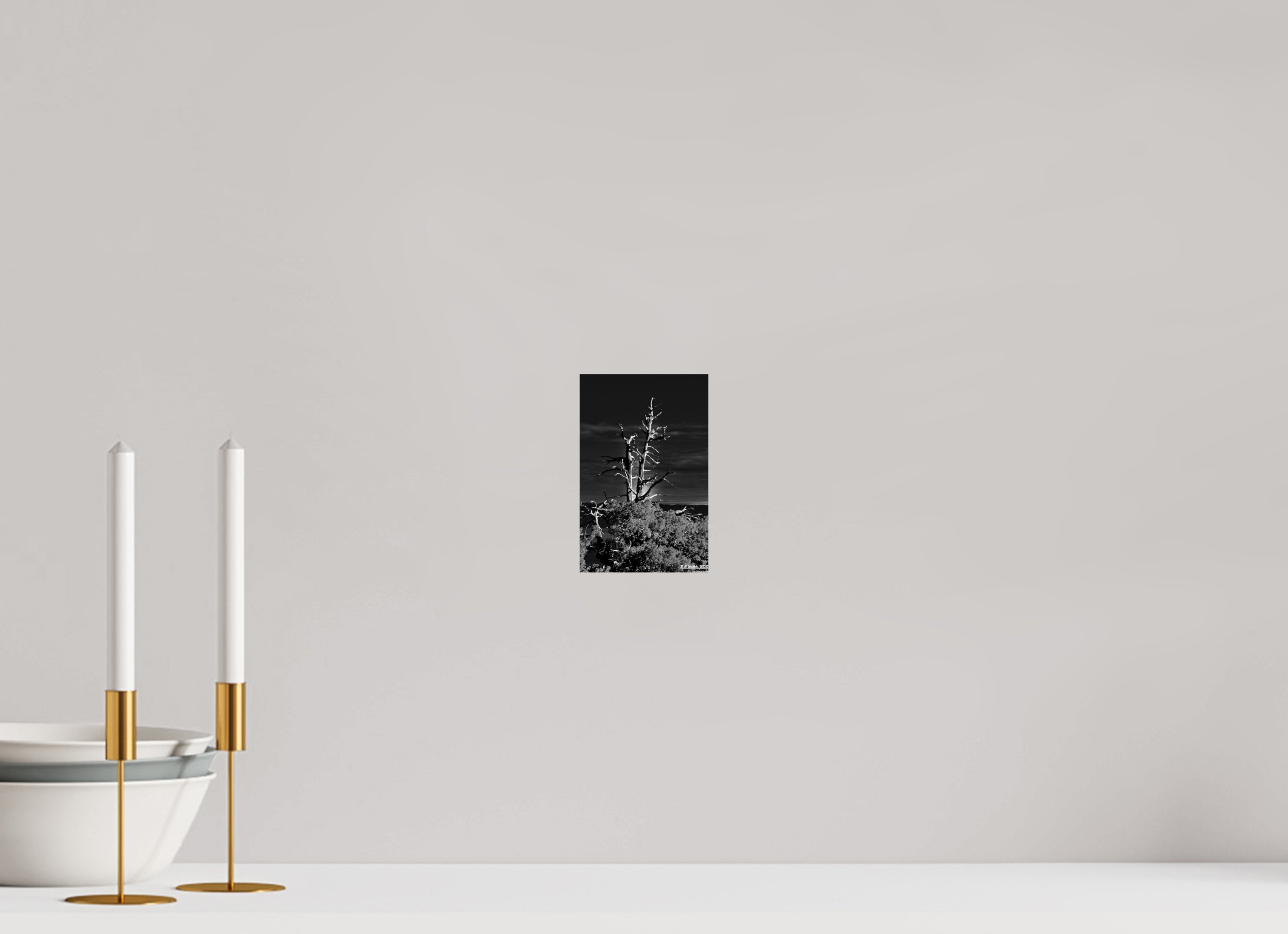 4 x 6.2″, Glossy Print without border Tahoe tree silhouette