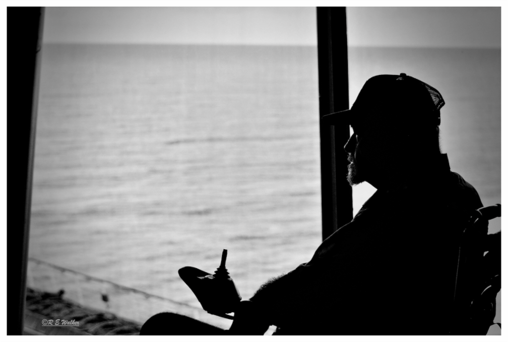 Main image Watching the Sea