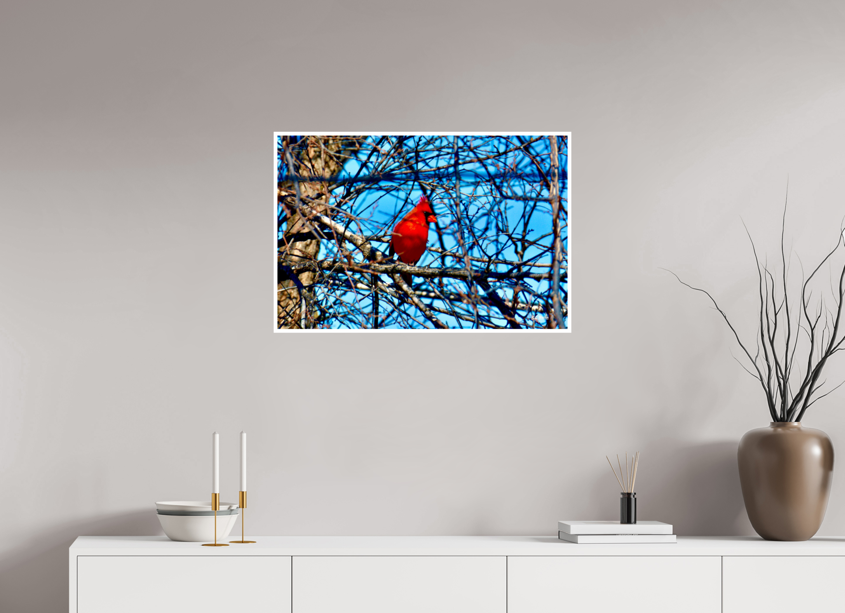 30 x 20″, Print with 0.4in white border Red Cardinal
