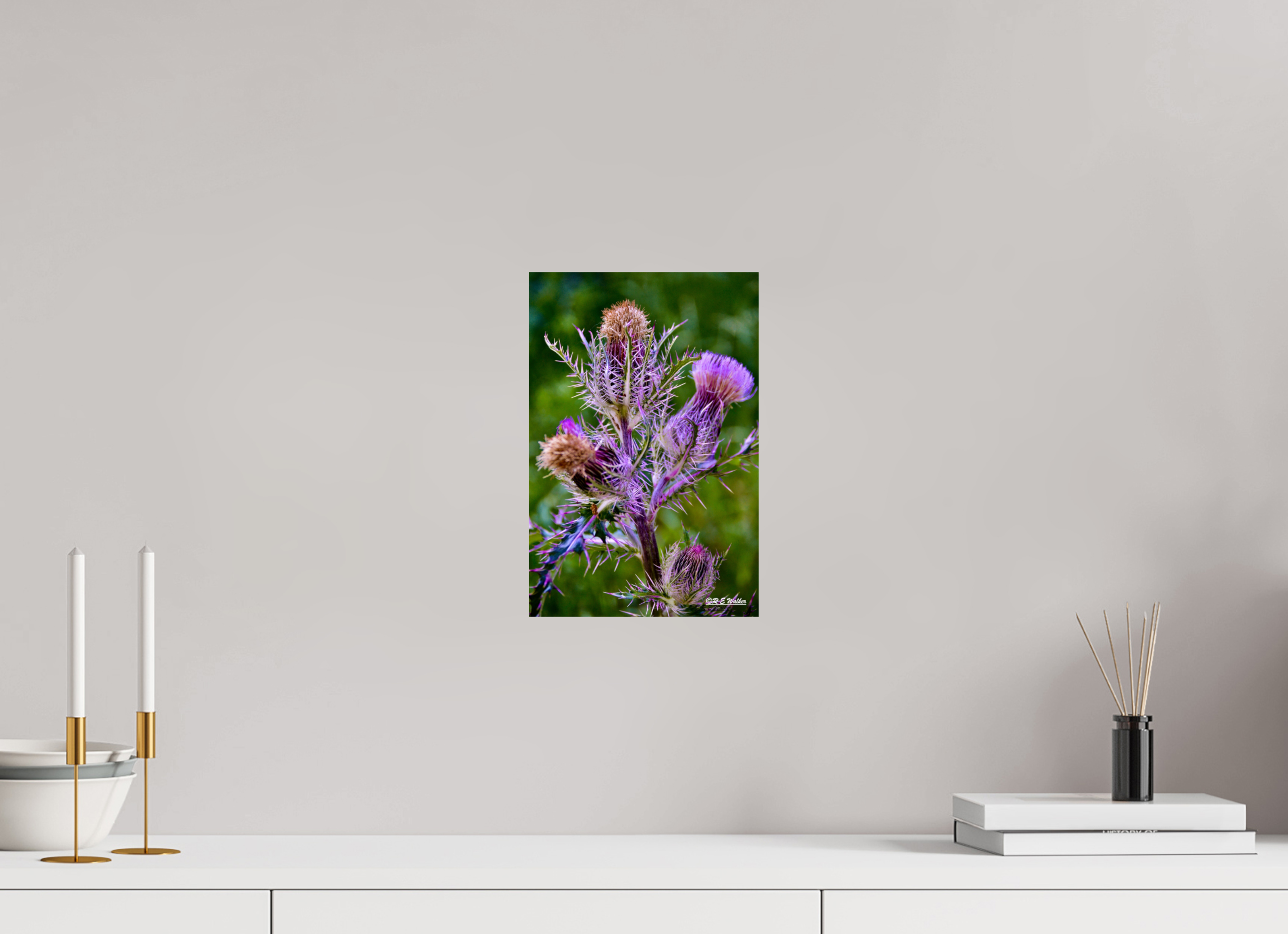 8 x 12″, Glossy Print without border Thistle