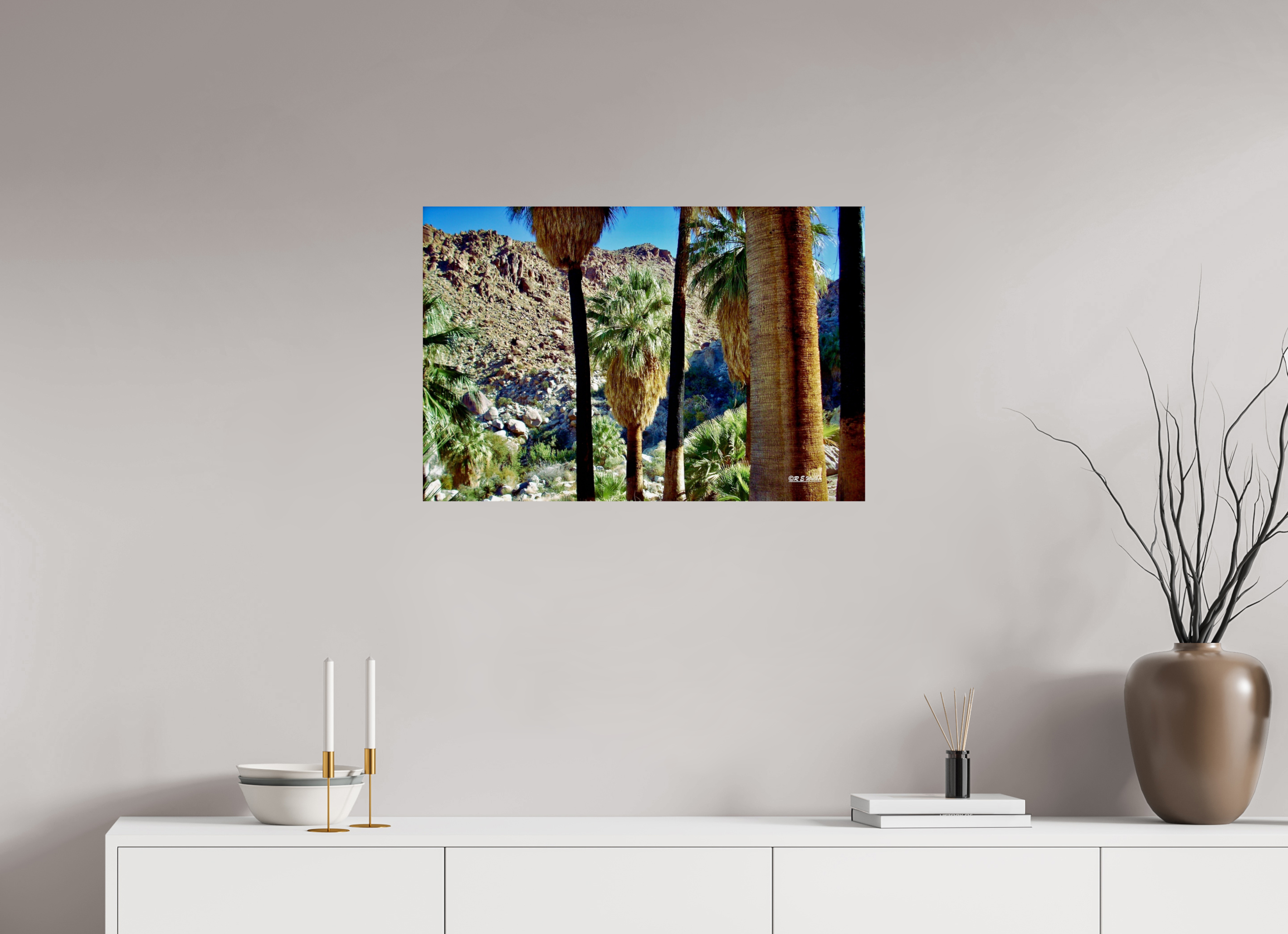 30 x 20″, Glossy Print without border Oasis in Joshua Tree National Park