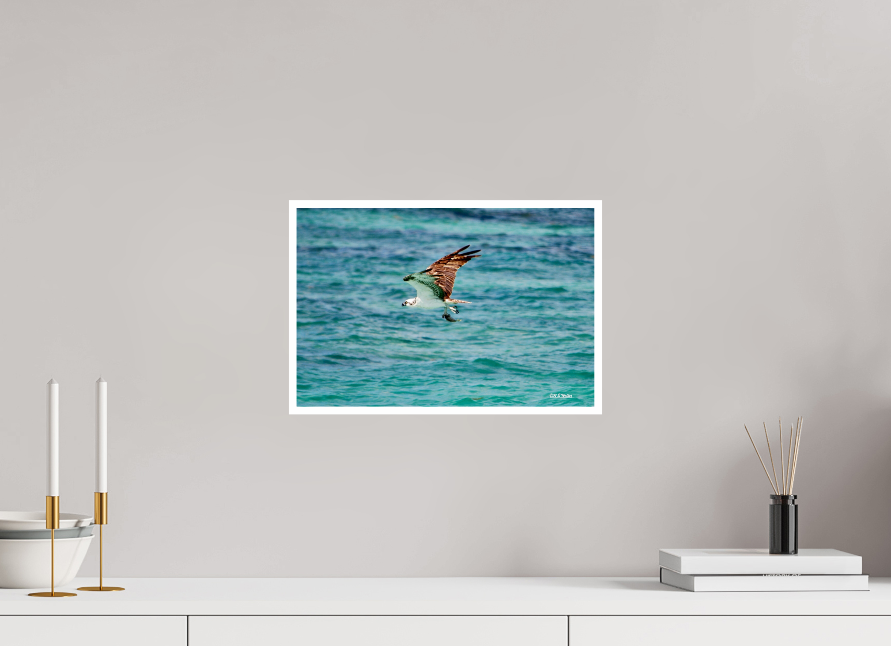 15 x 10″, Print with 0.4in white border Seahawk in flight