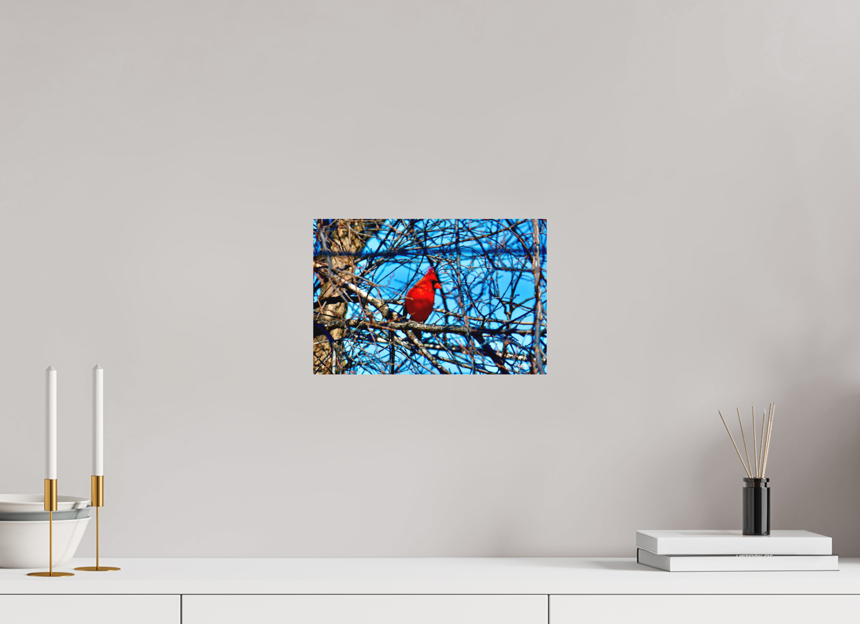 12 x 8″, Aluminum Red Cardinal