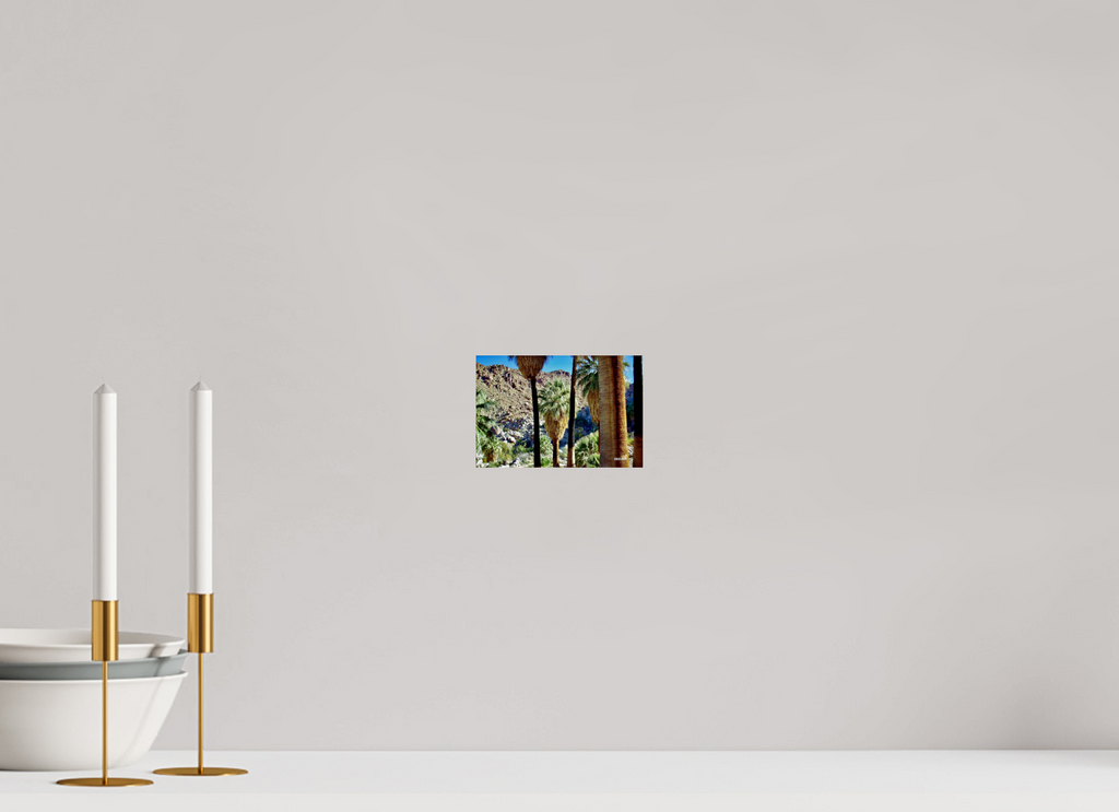 6 x 4″, Glossy Print without border Oasis in Joshua Tree National Park