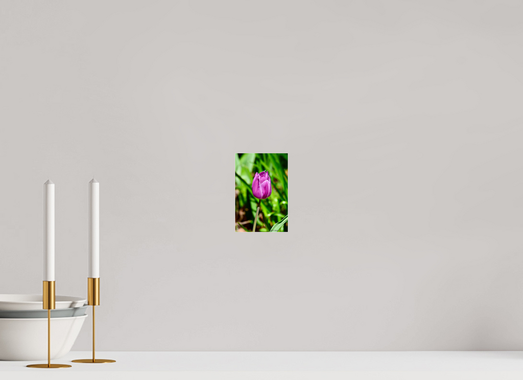 4 x 6″, acrylic-noframe-glossy Tulip in Weatherford, Tx