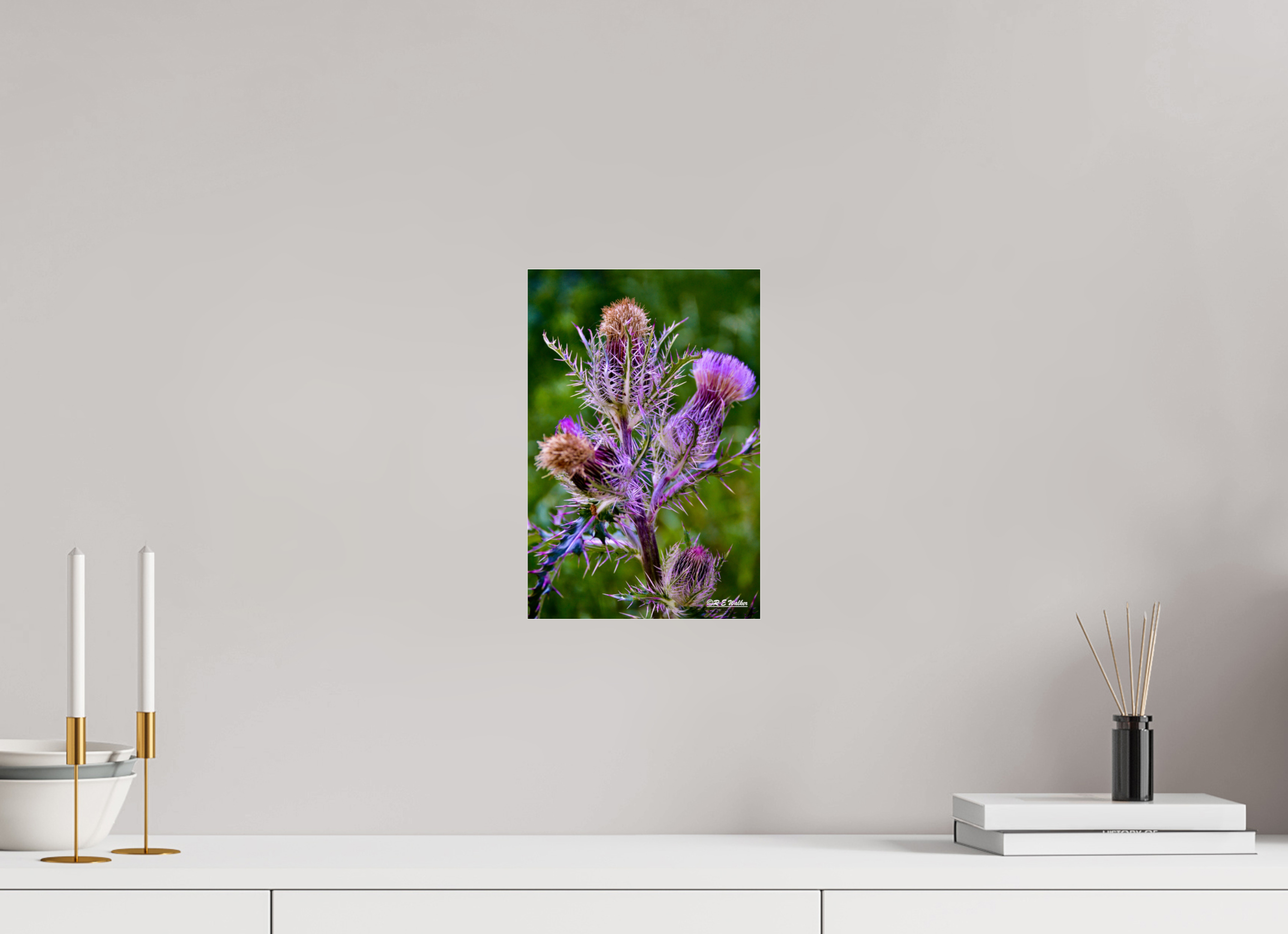 8 x 12″, acrylic-noframe-glossy Thistle