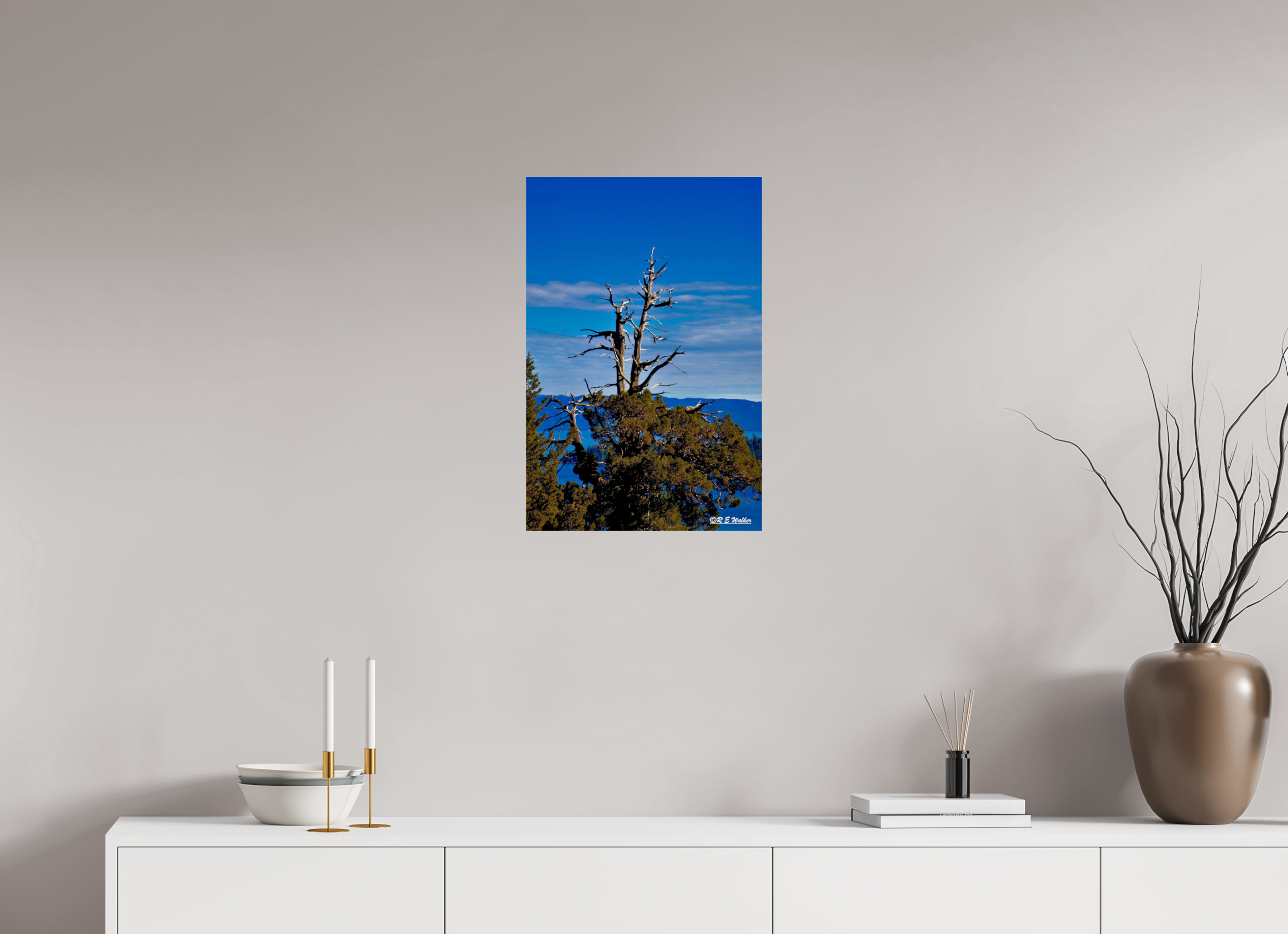 16 x 24″, Glossy Print without border Tree at Lake Tahoe
