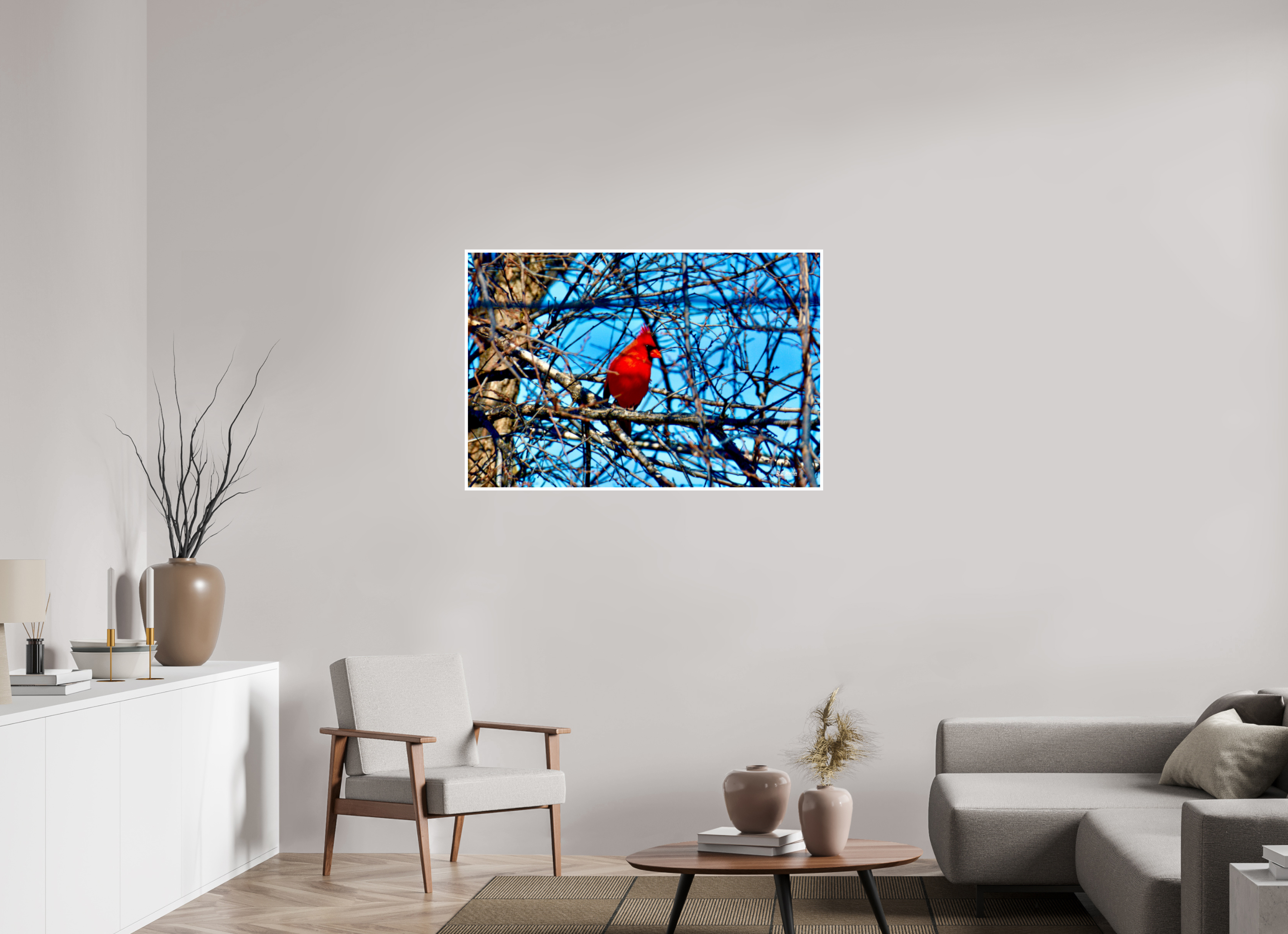 45 x 30″, Print with 0.4in white border Red Cardinal