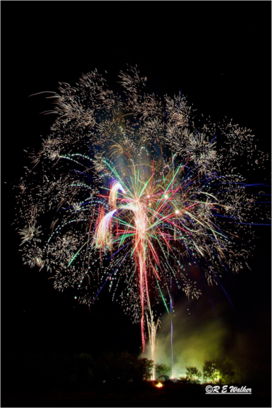 Main image Firework Tree